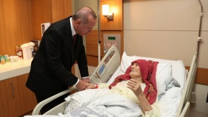 President Erdoğani sisukas visiit