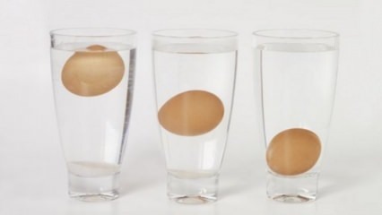 Kuidas mõista vananenud mune?