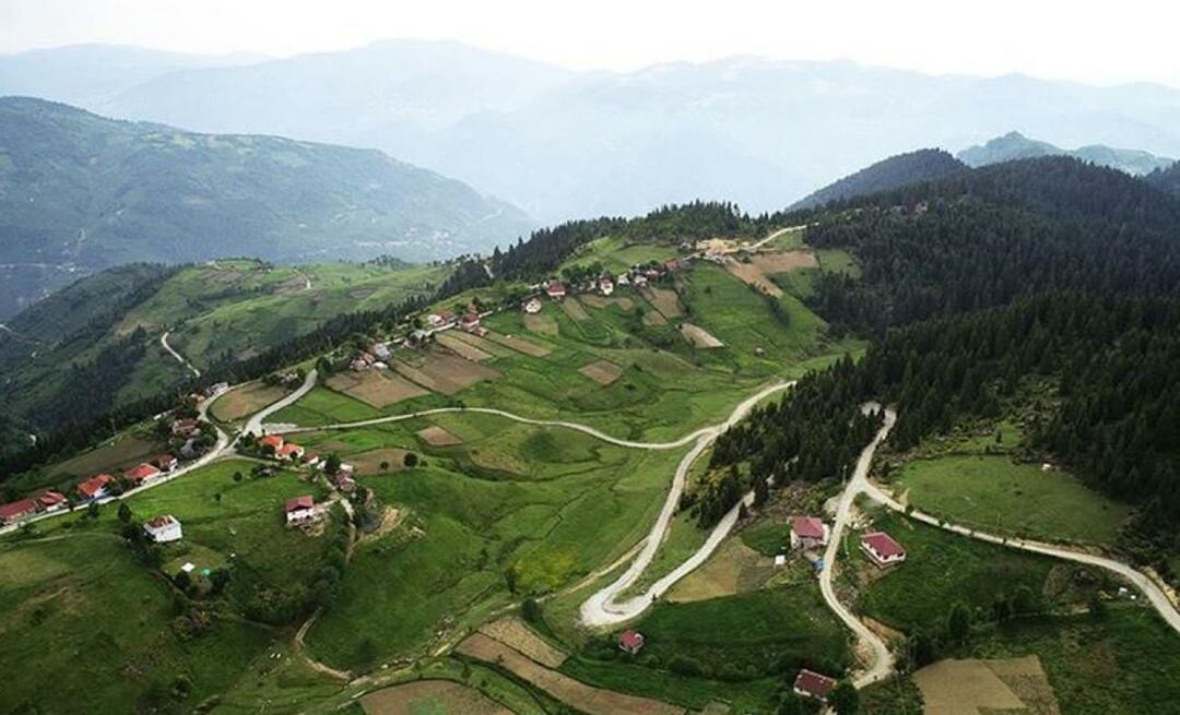 Kus on Çambaşı platoo? Kuidas saada Çambaşı platoole?