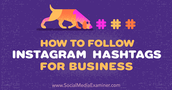 Kuidas järgida Jenn Hermani Instagrami hashtage ettevõtte jaoks sotsiaalmeedia eksamil.