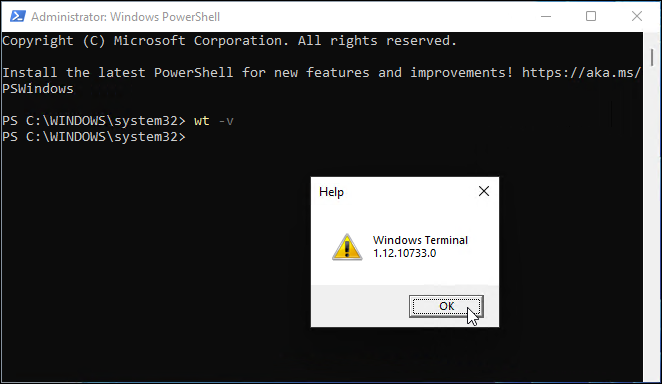 Windowsi terminali versioon