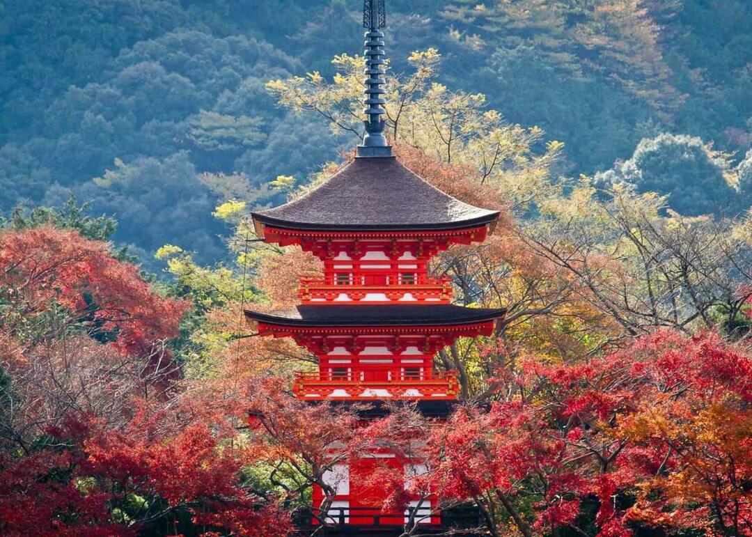 Kyoto siluett