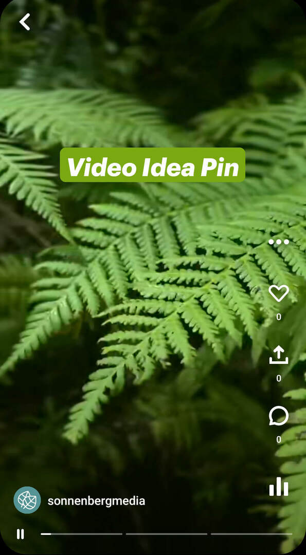 mis-are-pinterest-idea-pins-sonnenbergmedia-video-pin-example-1
