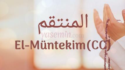 Mida tähendab Al-Muntakim (c.c)? Millised on Al-Muntakimi (c.c) voorused?