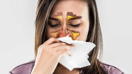 Mis on allergia? Millised on allergilise riniidi sümptomid? Mitu tüüpi allergiat on? 