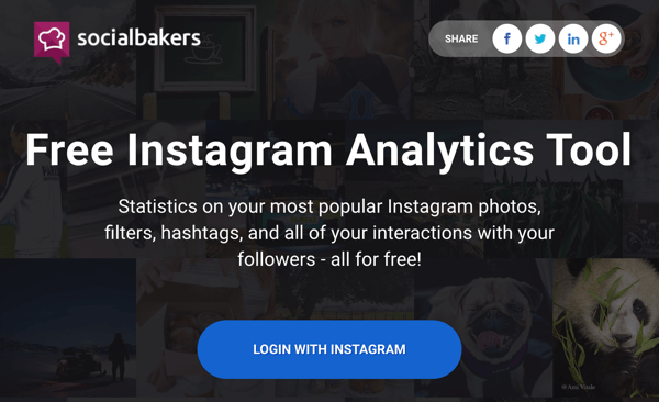 Socialbakersi tasuta aruandele juurdepääsu saamiseks logige sisse Instagramiga.