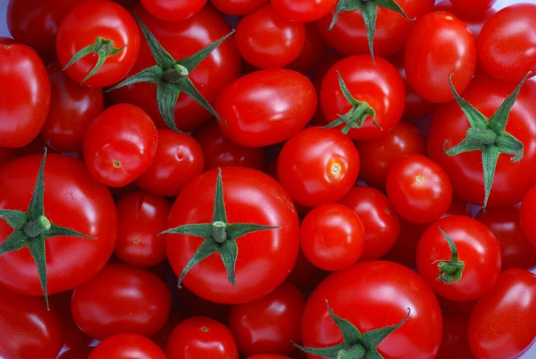 Kuidas valida menemenlikuid tomateid