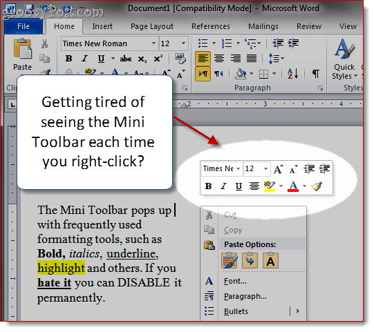 Eemaldage Word 2007 ja Word 2010 versioonidest Mini-tööriistariba
