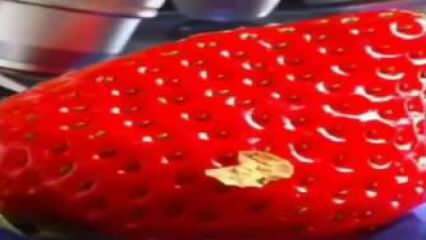 Sotsiaalmeediat tähistanud maasikavideo! Te ei pane maasikat enam suhu ...