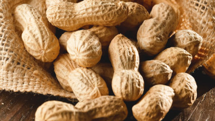 Mis kasu on maapähklitest? Milliste haiguste jaoks on maapähklid head?
