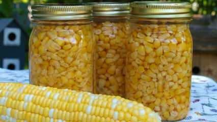 Kuidas maisi säilitatakse? Lihtsaimad maisi säilitamisviisid! Talimaisi valmistamine
