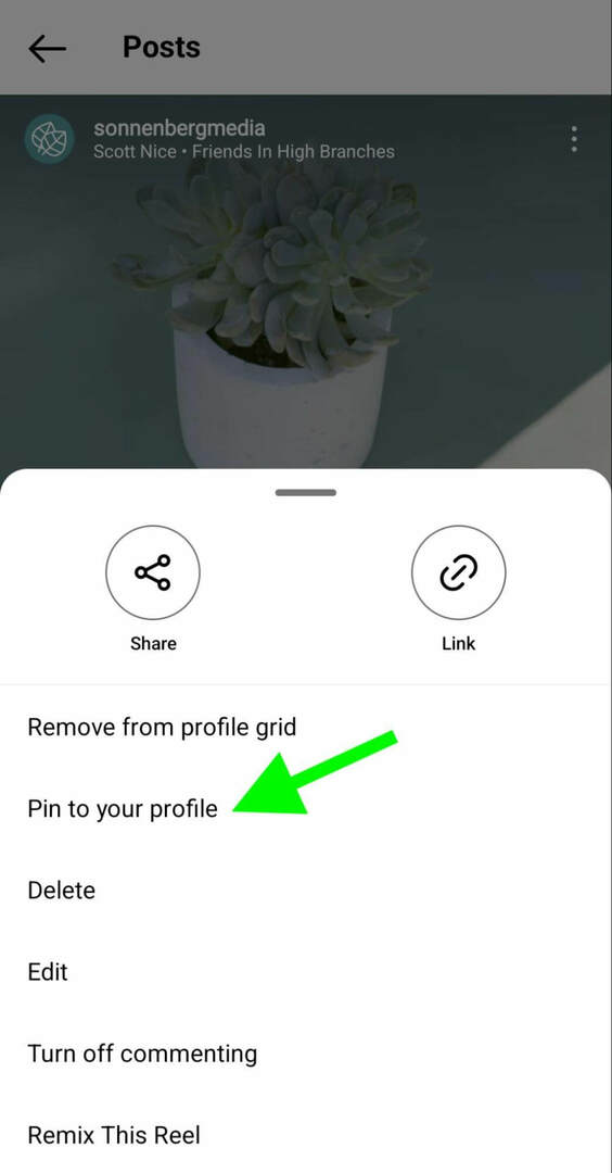 kuidas-instagram-pin-reels-profile-grid-sonnenbergmedia-step-1