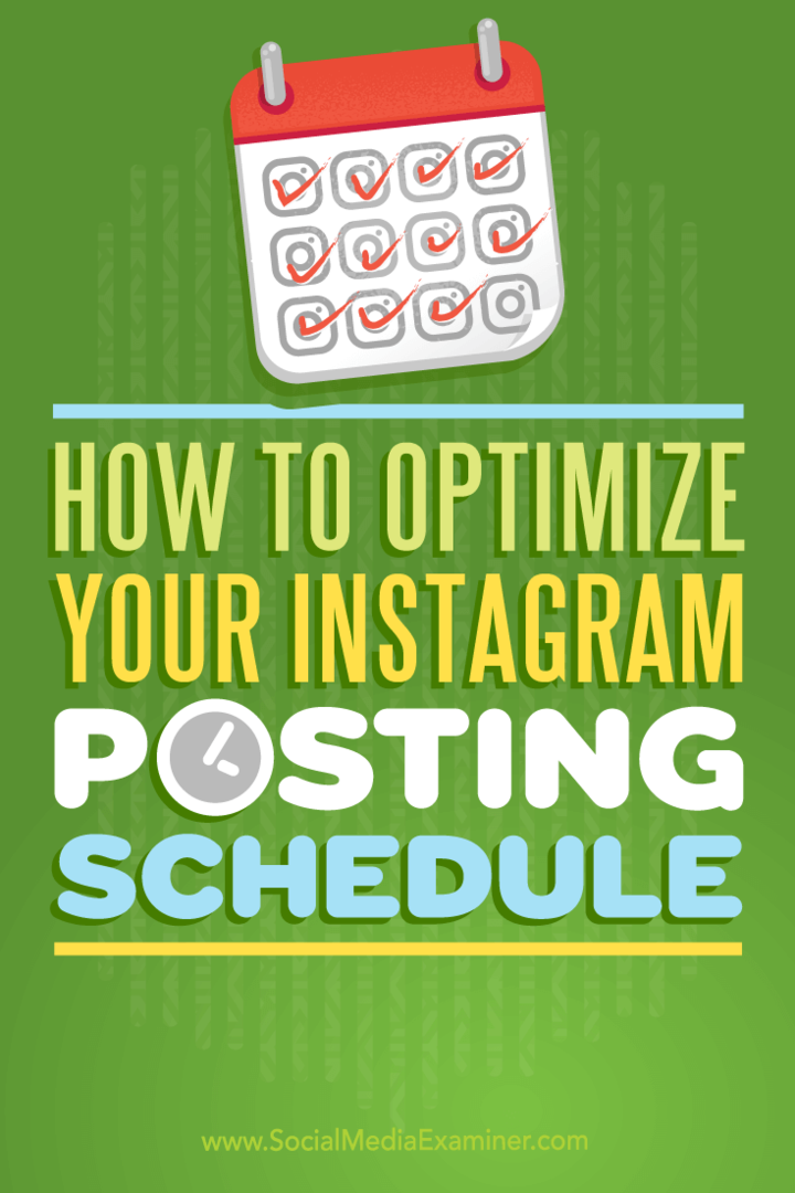 Kuidas oma Instagrami postituste ajakava optimeerida: sotsiaalmeedia eksamineerija