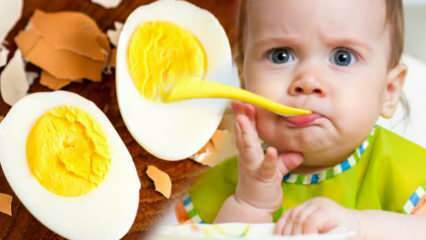 Kuidas tuleks munakollasid beebidele anda? Mitu kuud munaraku alustamiseks? Beebi muna retsept
