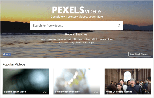 Pexels pakub tasuta põhivideot, mida saate kasutada oma LinkedIini videoreklaamides.
