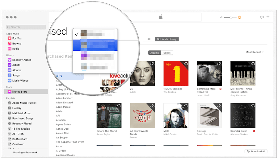 iTunes valib pereliikme