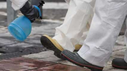 Kuidas teha jalatsite täieõiguslikku puhastamist? Kuidas jalatsi põhja desinfitseeritakse?