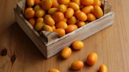 Mis kasu on Kumquatist (Kumkat)? Milliste haiguste jaoks on kumquat hea? Kuidas kumquati tarbitakse?