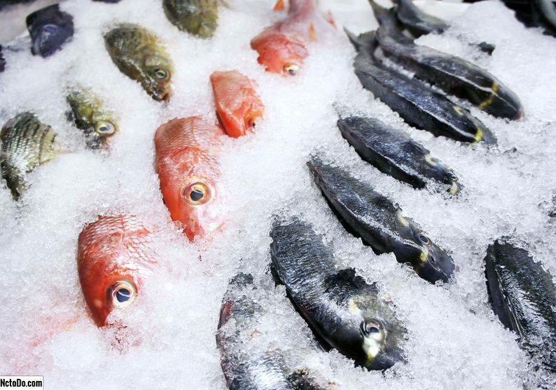 Kuidas kala hoitakse? Millised on näpunäited kalade sügavkülmas hoidmiseks?