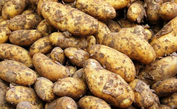 Mida teeb kartulimahl?