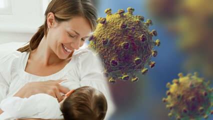 Kas koronaviirus kandub piimast lapsele? Tähelepanu tulevastele emadele pandeemia ajal! 