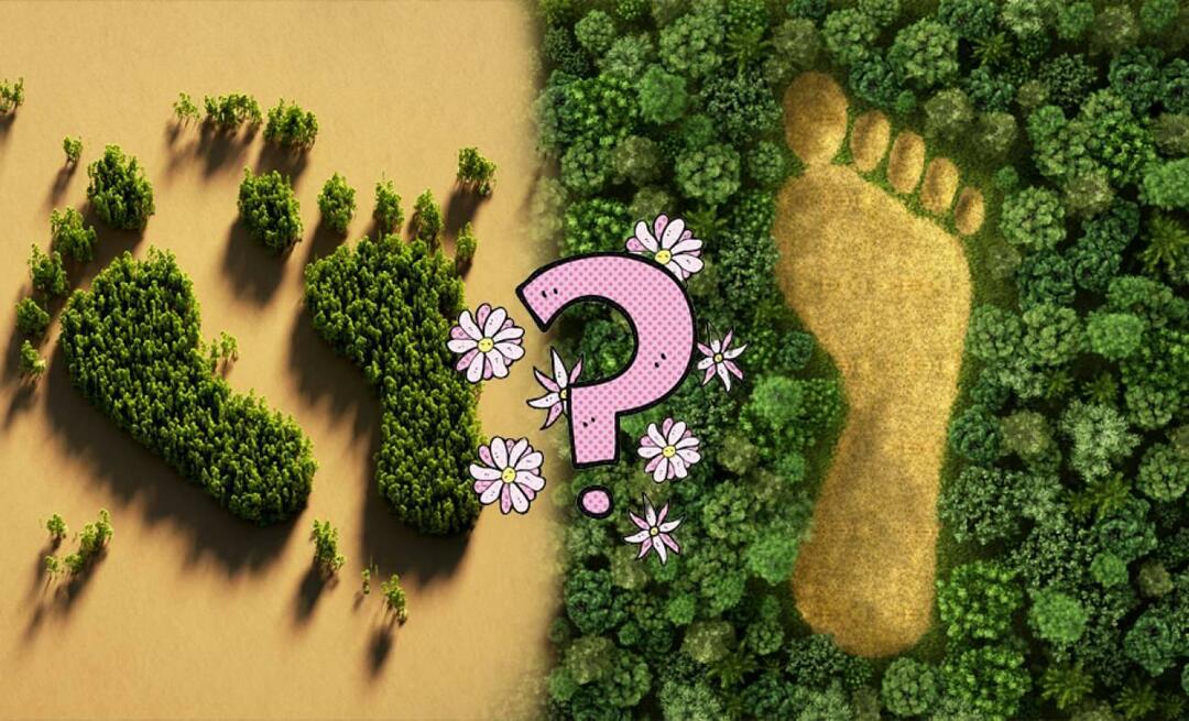 Mis on süsiniku jalajälg ja kuidas arvutatakse süsiniku jalajälg? Mida tähendab süsiniku jalajälg?