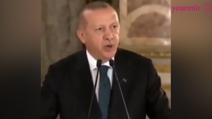 President Erdoğan: Kunstnikud, kes valasid oma poliitilise poole poleemikasse, ärritasid meid