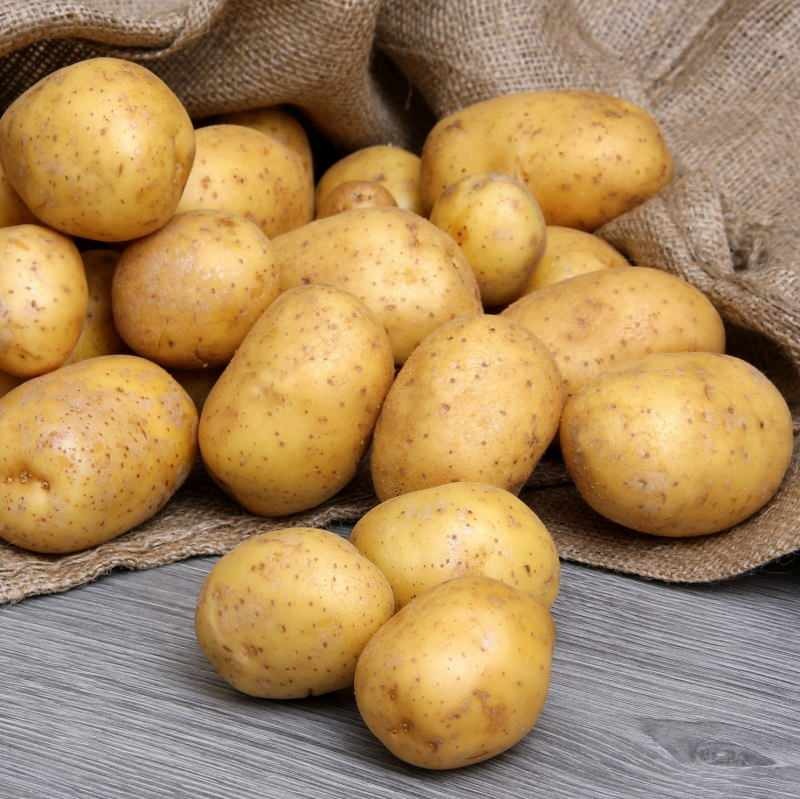 Mis vahe on söödaval kartulil ja praekartulil