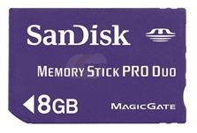 Dandiski mälukaart 8 GB
