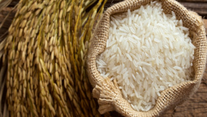 Kuidas mõistetakse riisi parimat? 