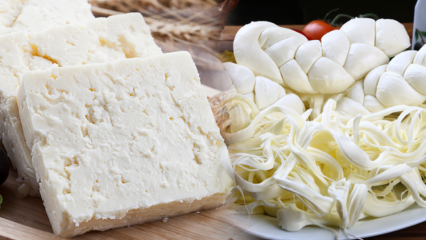 Kuidas heast juustust aru saada? Näpunäiteid juustu valimiseks