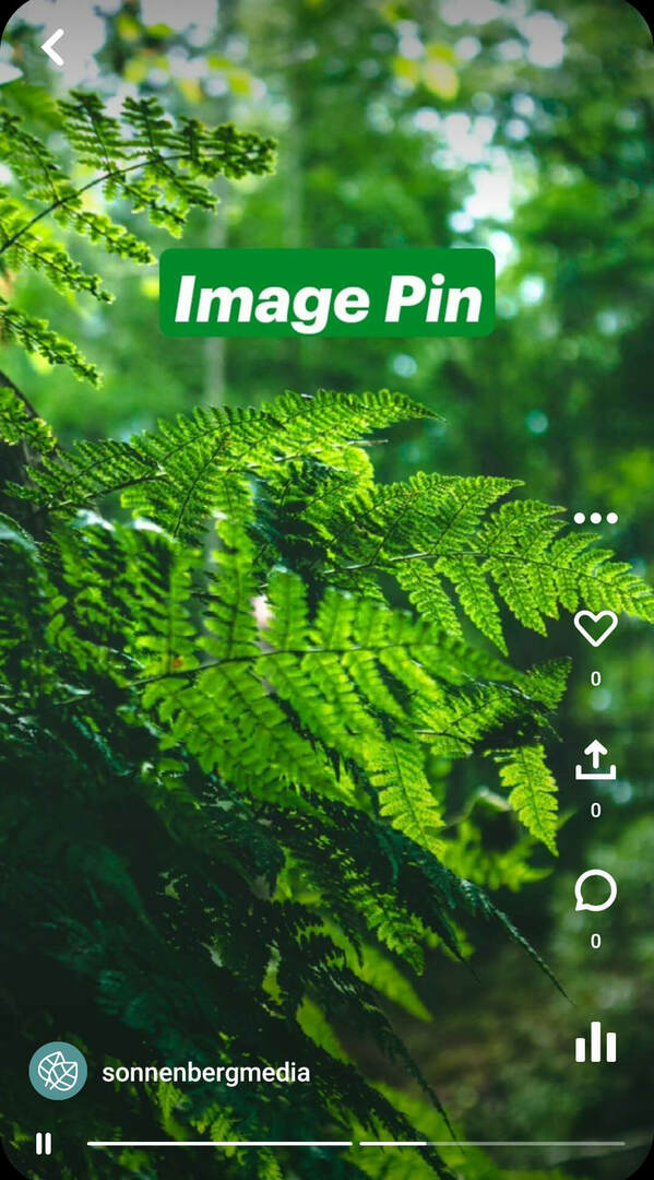 mis-are-pinterest-idea-pins-sonnenbergmedia-image-pin-example-2