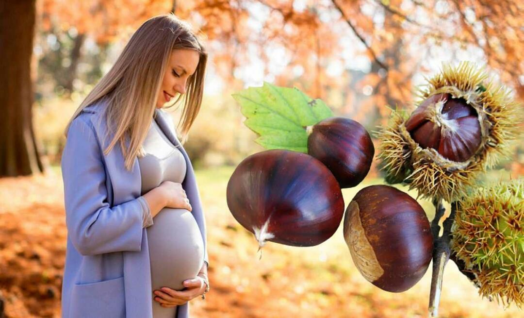 Kas rasedad saavad kastaneid süüa? Kastanite söömise eelised raseduse ajal lapsele ja emale