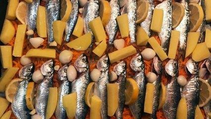 Kuidas chinekopit valmistada? Lihtsaim viis chinakopi kala küpsetamiseks! Küpsetatud chinekopi retsept
