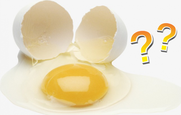 Kas munakollane või valge on kasulik