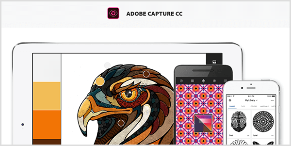 Adobe Capture loob paleti mobiilseadmega jäädvustatud pildist. Veebisaidil on kujutatud linnu illustratsioon ja illustratsioonist loodud palett, mis sisaldab helehalli, kollast, oranži ja punakaspruuni tooni.
