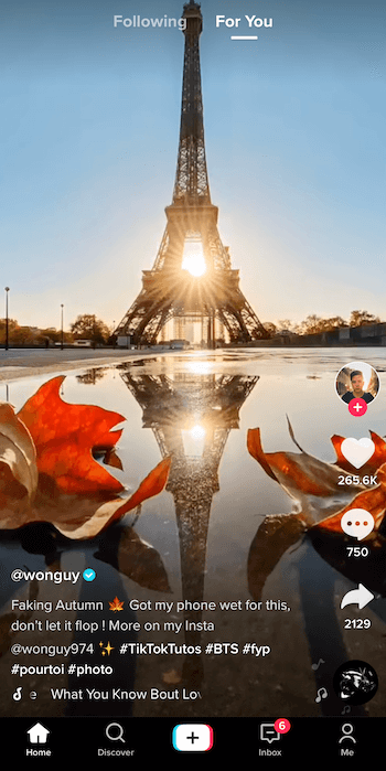 ekraanipilt tiktok postitusest, mille autor on @ wonguy974 pealkirjaga võlts sügis, näidates siluetis Eiffeli torni ja selle taha loojuv päike peegeldub lompis, mida raamivad kaks langevat lehte põhjas pilt