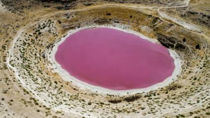 Meyil Obruk järve värv on muutunud roosaks!