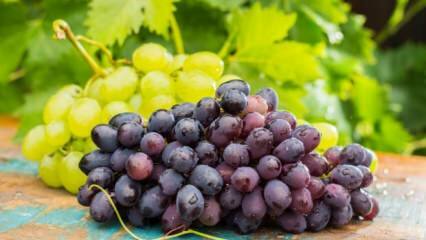 Mis juhtub, kui süüa päevas kaussi viinamarju?