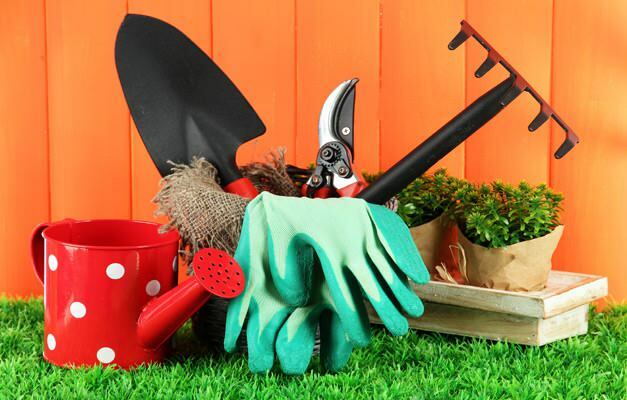 kuidas aeda koristada