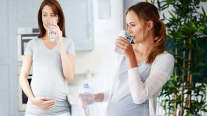 Rasedate joogivee eelised! Kui palju vett tuleks raseduse ajal päevas tarbida? 