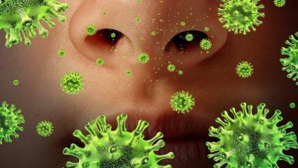 Uuesti esile kerkiv: mis on Sarsi viirus ja millised on selle sümptomid? Kuidas Sars-viirus levib?