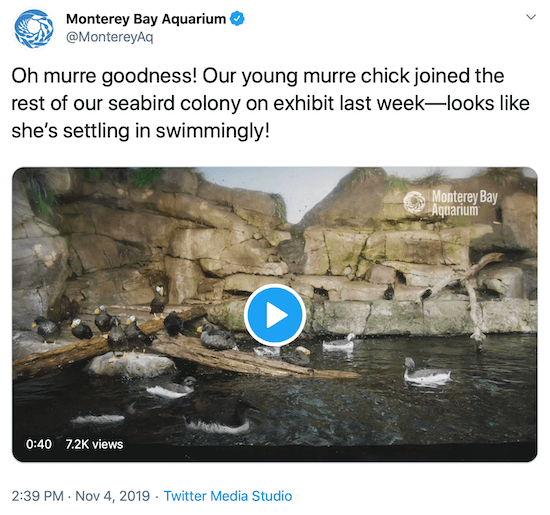 säuts Monterey Bay akvaariumist brändi sotsiaalmeedia hääle näitena
