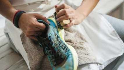 Kuidas teha jalatsite täieõiguslikku puhastamist? Kuidas jalatsi põhja desinfitseeritakse?