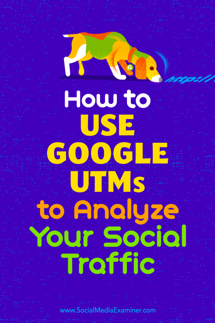 Kuidas kasutada Google UTM-e oma sotsiaalse liikluse analüüsimiseks, autor Tammy Cannon sotsiaalmeedia eksamil.