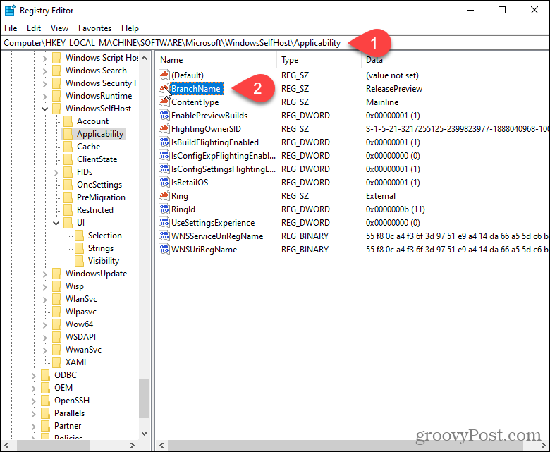 Topeltklõpsake Windowsi registris võtmel BranchName