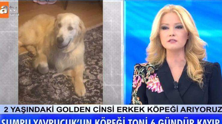 Saatejuht Müge Anlı teatas: Näitlejanna Sumru Yavrucuki koer leiti ...