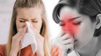 Mis on allergiline riniit? Millised on allergilise riniidi sümptomid? Kas allergilise riniidi raviks on olemas?
