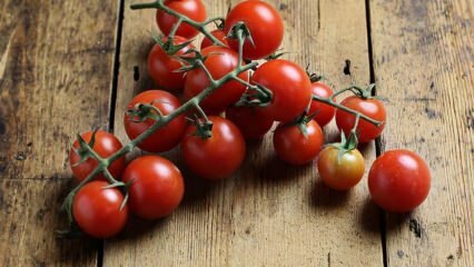 Kuidas vältida tomati mädanemist? Kuidas vältida tomatikoore? 
