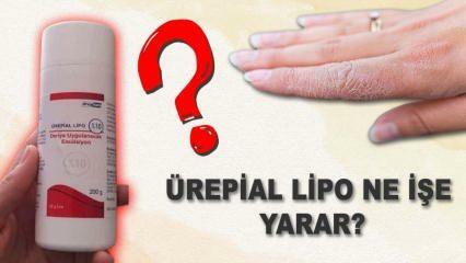 Mis on urepiaalne lipokreem, mida see teeb? Millised on kõrvalmõjud? Urepial lipo kreem 2023 hind